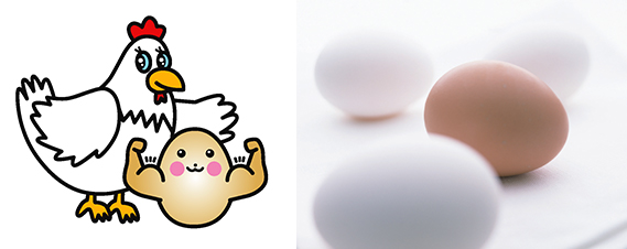 ESQ　improve eggshell quality