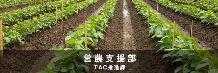 営農支援部 TAC推進課・農業技術センター