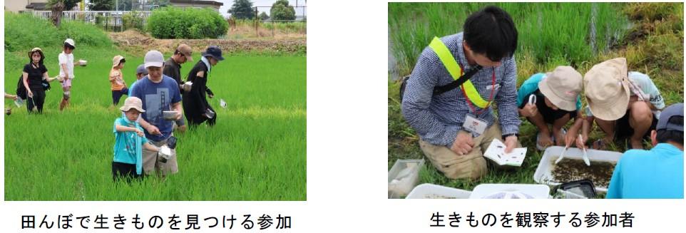 生きものを観察する参加者