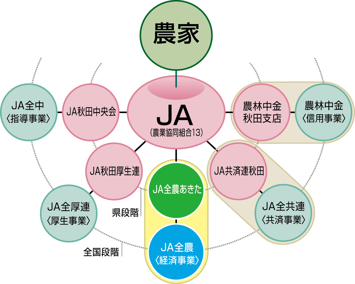 組織図