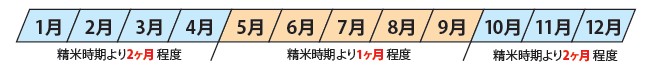 おいしく食べる期間の目安