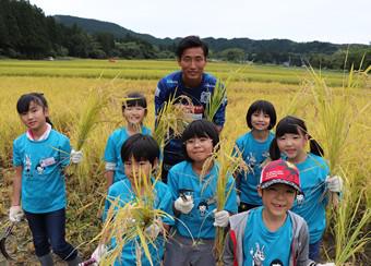 ブラウブリッツ秋田の選手も一緒に稲刈りを行いました！の内容を表示