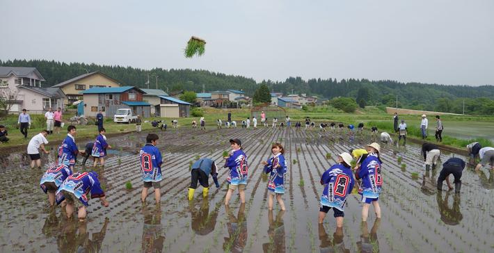 田植え日和となった当日、これまで１番のはやさで苗を植え終りましたの内容を表示