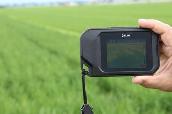 サーモグラフィカメラによる稲の葉温測定の内容を表示