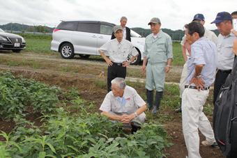 （農）たねっこの工藤修代表とともに被害を受けた大豆の圃場を視察の内容を表示