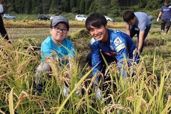 坪井清志郎選手も一緒に稲刈りに挑戦しました！の内容を表示
