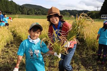 親子で楽しく稲刈り！の内容を表示