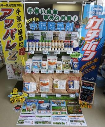 【大型陳列部門】敢闘賞・JA秋田なまはげ 雄和グリーンセンターの内容を表示