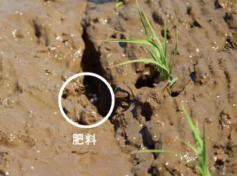 側条施肥の様子(自動で施肥量を調整)の内容を表示