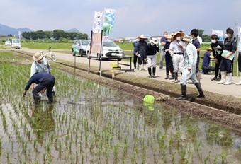 銀メッキ板の設置方法の確認の内容を表示