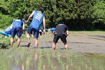 ブラウブリッツ秋田×JA全農あきた「元気わくわくキッズ