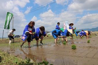 京急グループ社員と高校生が手植えに挑戦！の内容を表示