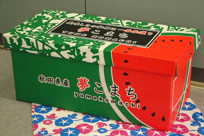 スイカ大✨ 手作り額付作品 「きらめきニャンコ」 （スイカの