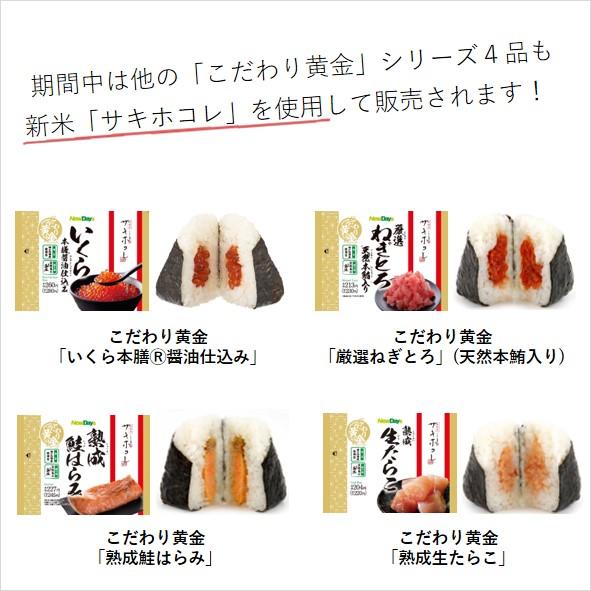 秋田　支援新政　2本セット 秋田 支援新政 2本セット