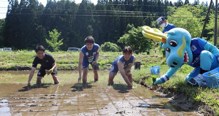 ブラウブリッツ秋田練習着 上のみ 新品未使用 ブラウブリッツ秋田練習着 - メルカリ