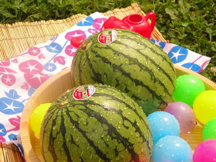 JAこまちの小玉スイカ「夢こまち」予約受付開始！～JAタウン