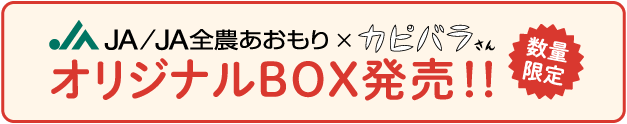 数量限定　オリジナルBOX発売！！