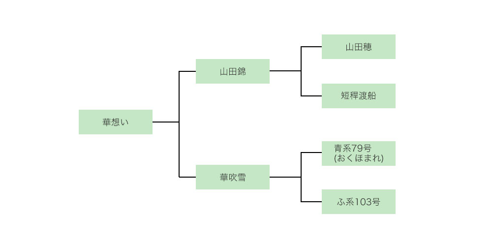 華想いの家系図