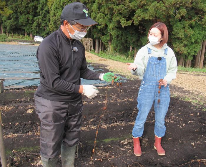 アピオスの栽培ポイントを紹介する中岫さん㊧の内容を表示