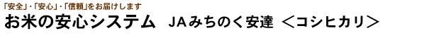 Ă̈SVXe@JÂ݂B@RVqJ