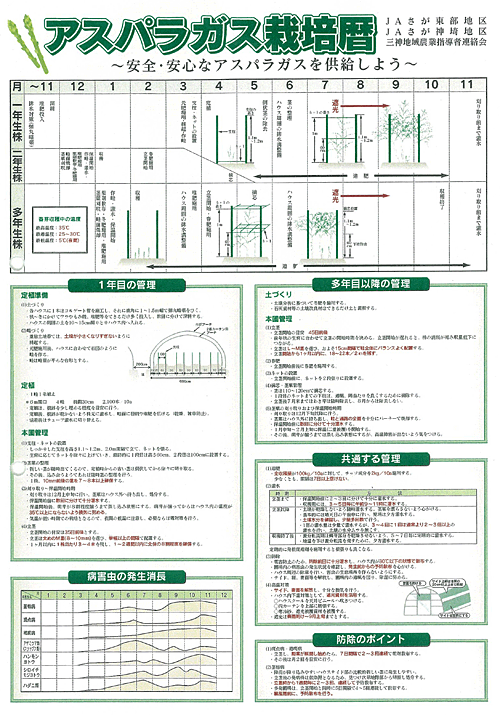 Jaさが 神埼地区アスパラガス部会 全農安心システム