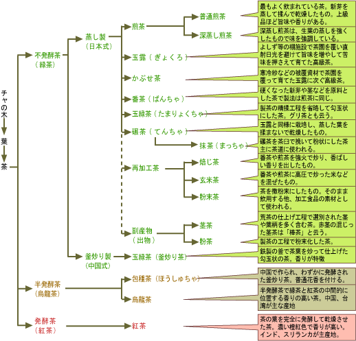 ̎ށiށj