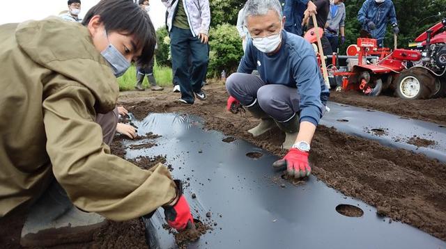 《手播きの様子》の内容を表示