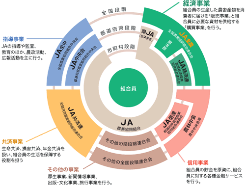 ＪＡグループの組織図