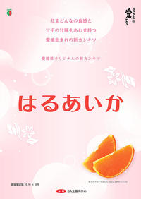 はるあいか　ポスター