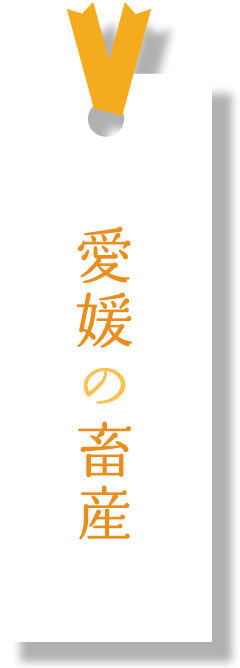 愛媛の畜産