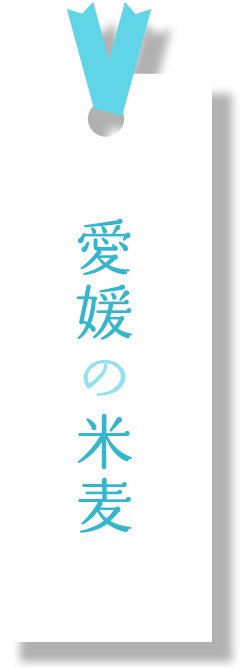 愛媛の米麦