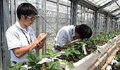 新技術の研究・開発と提案