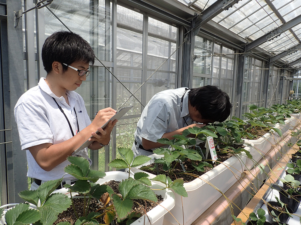 防除提案の研究