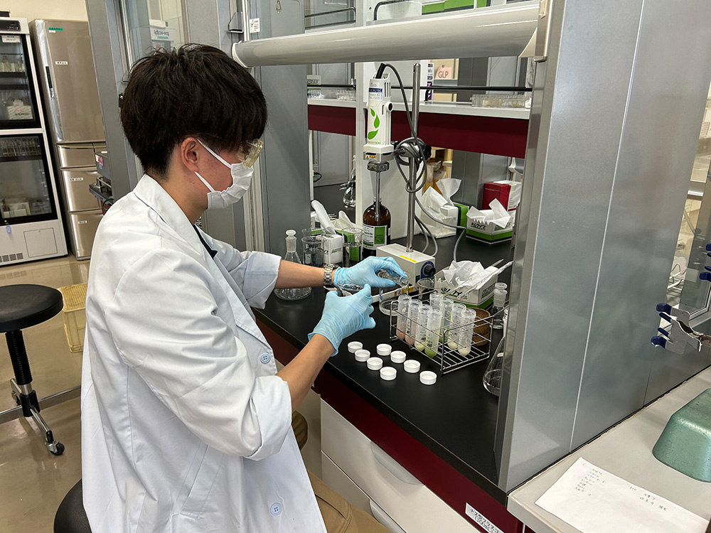 分析手法の改良と開発