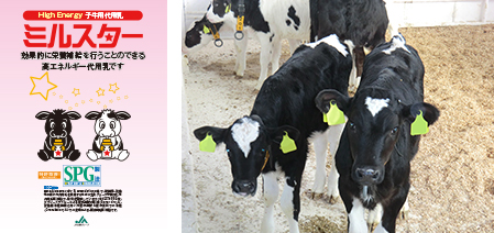 Package of Milstar high-fat substitute milk for calves  Calves reared on Milstar