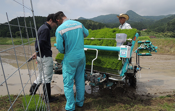 Low-cost wet rice cultivation experiment (JA Fukuoka-Keichiku)