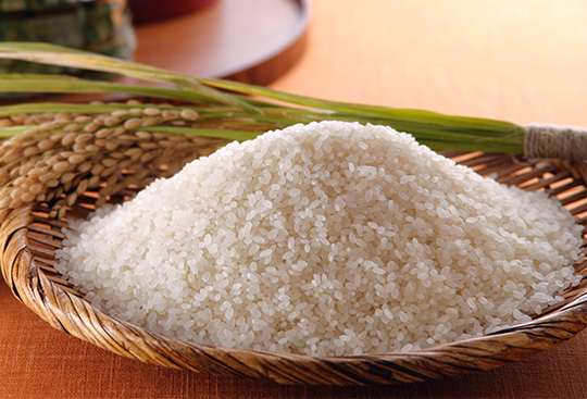 Rice and Grain Production Business