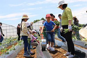 JA ZEN-NOH parent-child agricultural experience tours