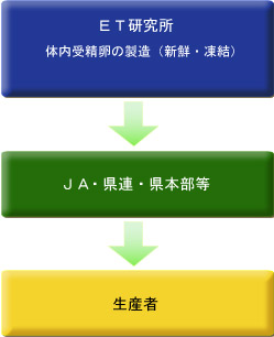 全農供卵牛 × 全農精液 型