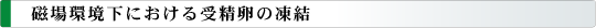 磁場環境下における受精卵の凍結