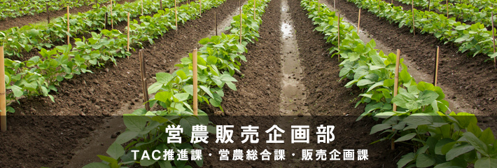 営農販売企画部 TAC推進課・営農総合課・販売企画課