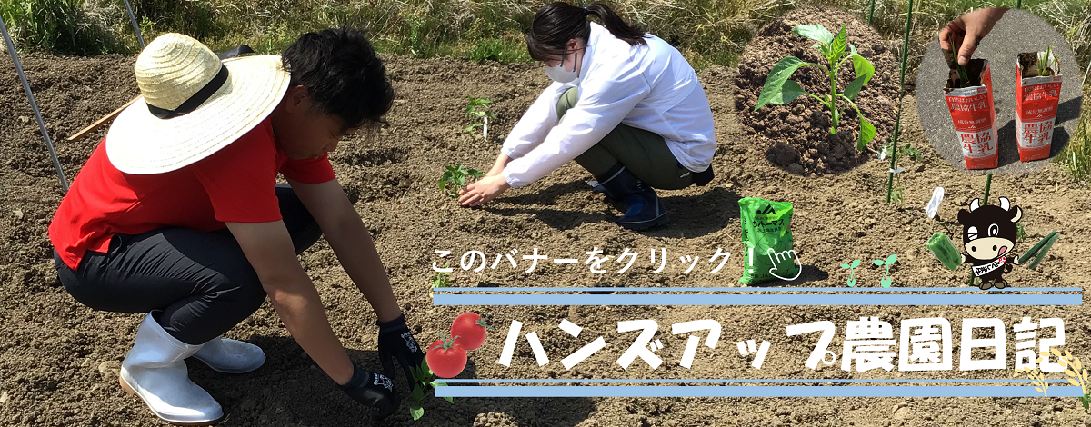 ハンズアップ日記