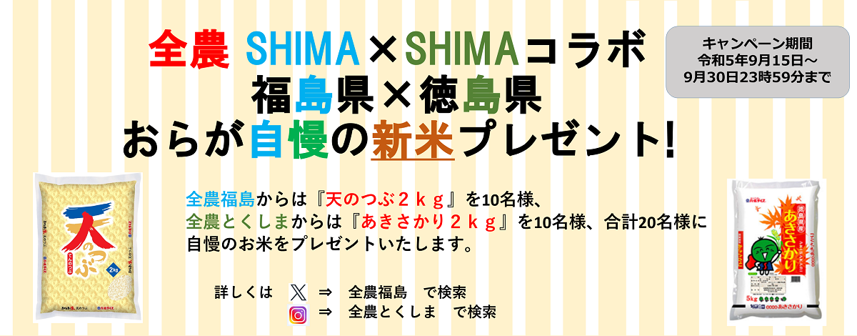 SHIMA