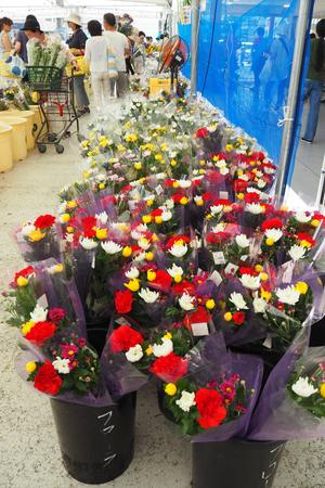 色とりどりの花を準備しました!の内容を表示