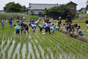 さあ、はだしになって田んぼへの内容を表示