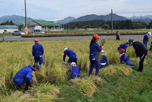 稲刈り頑張りました！豊作だね！！の内容を表示