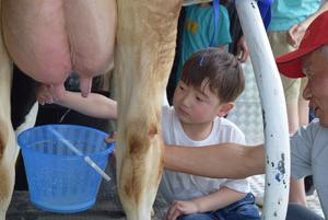 うまく乳搾りができるかな?の内容を表示