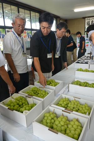 審査では形、大きさ、色などを審査しますの内容を表示