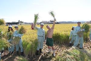 みんなで元気に稲刈りを行いましたの内容を表示