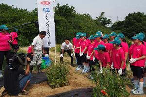 指導に従って定植をしますの内容を表示